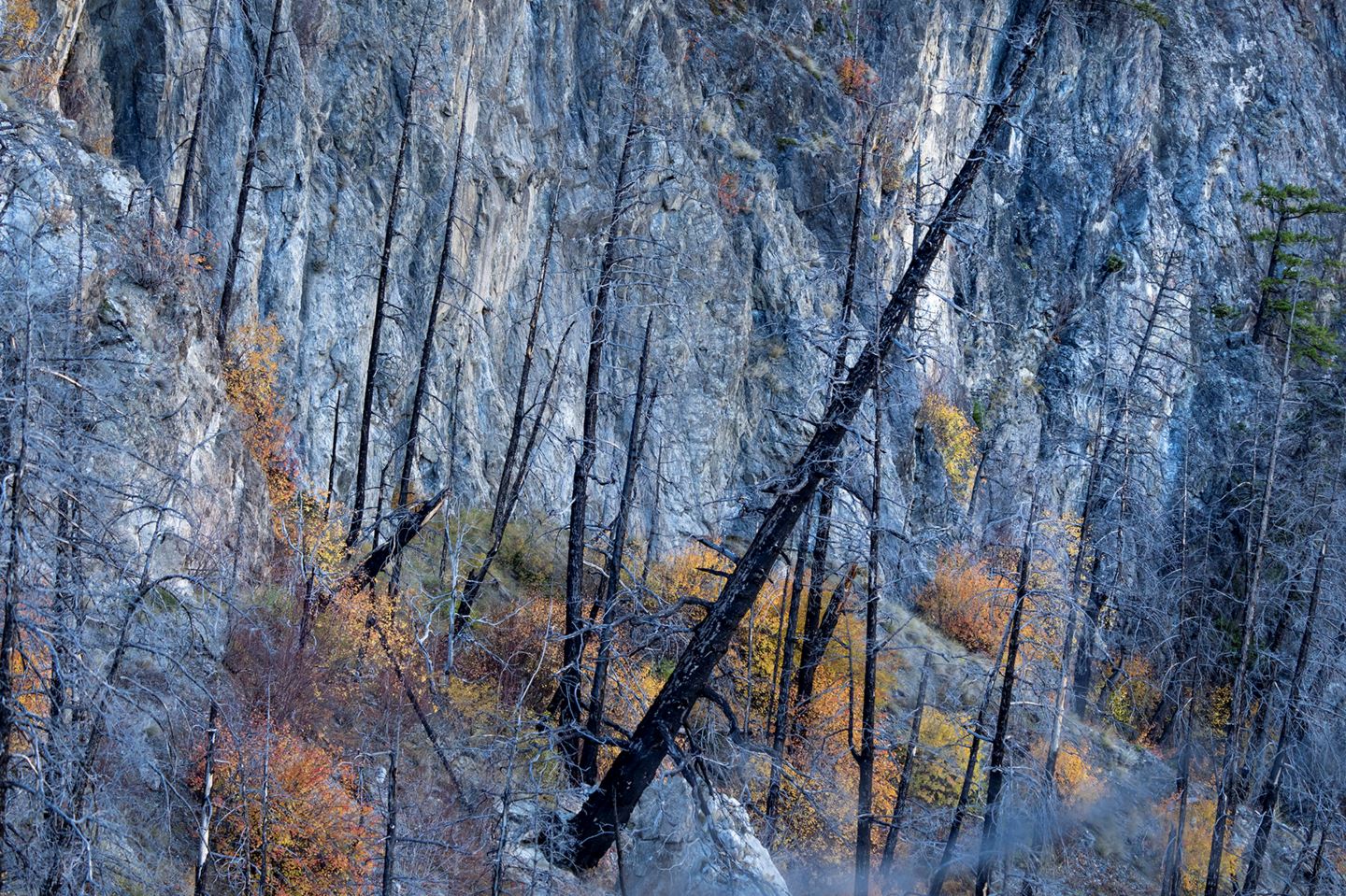 cliffs in the burn
