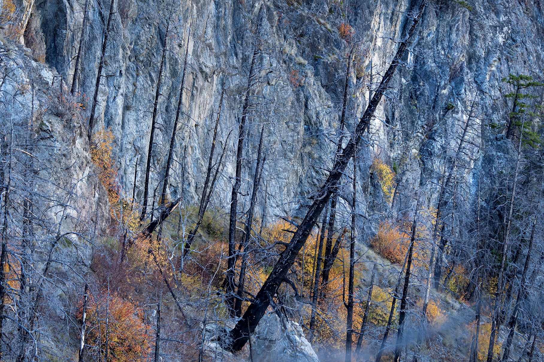 cliffs in the burn