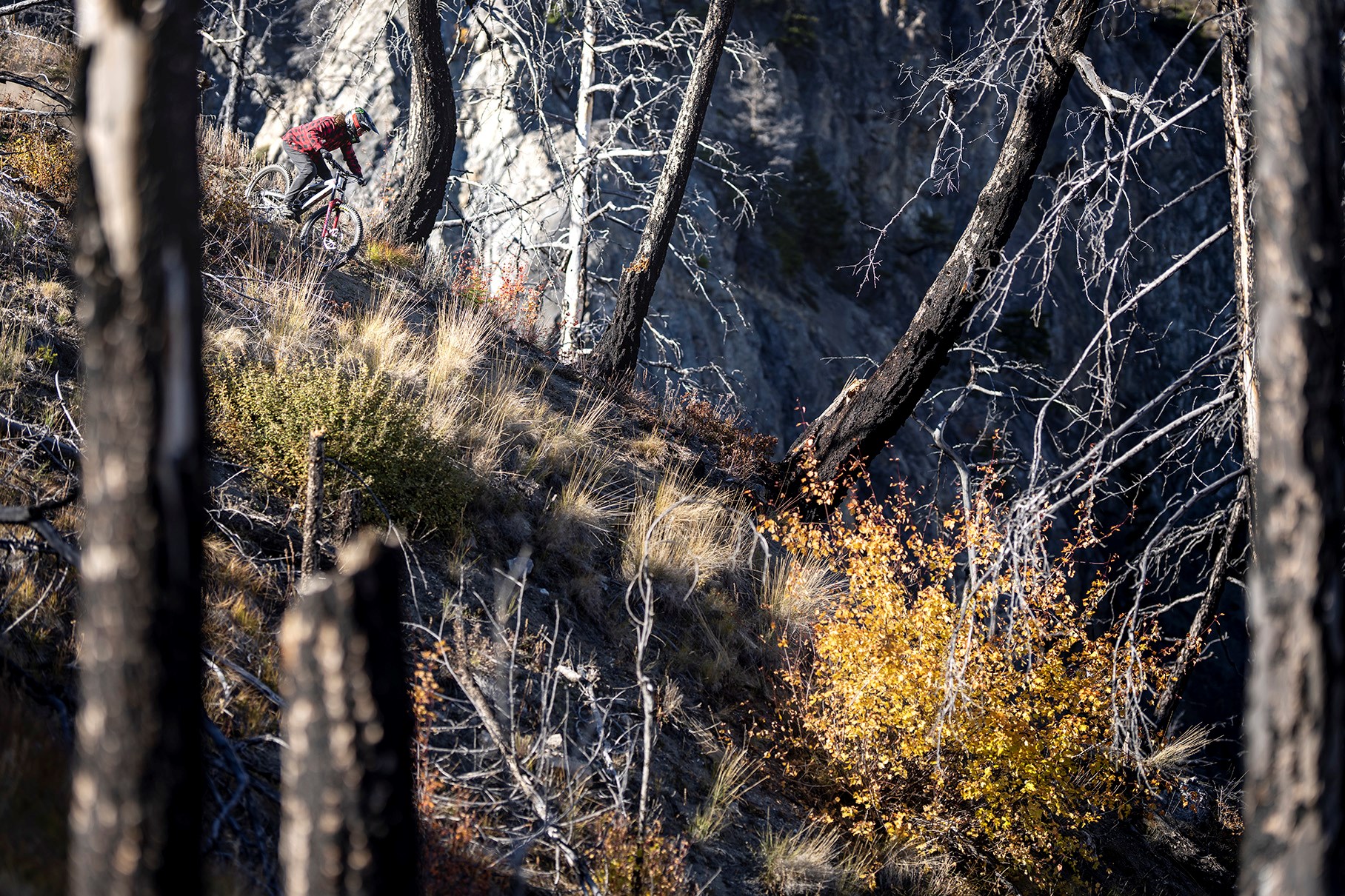 coming into the chute