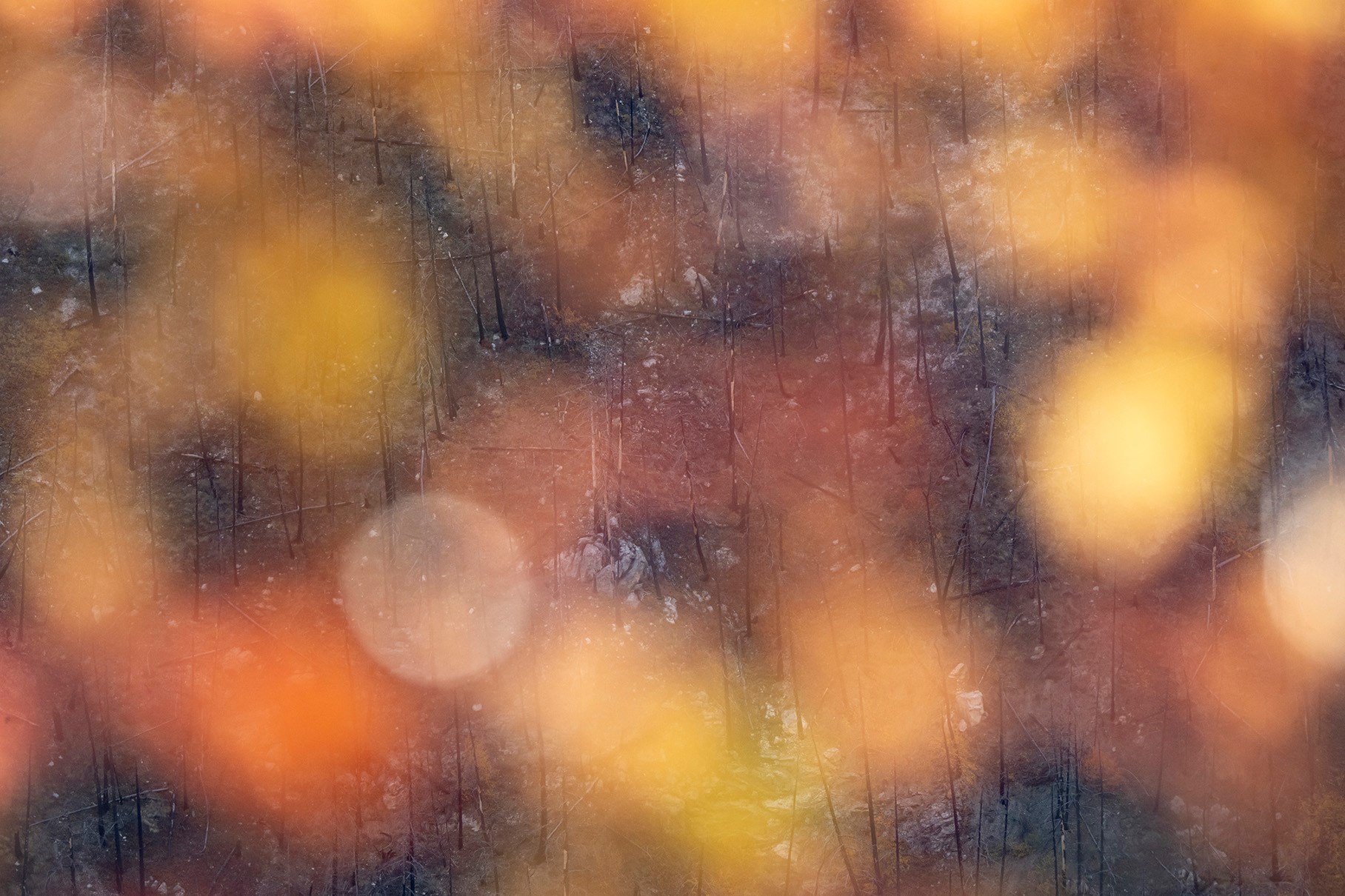 the hill through the leaves