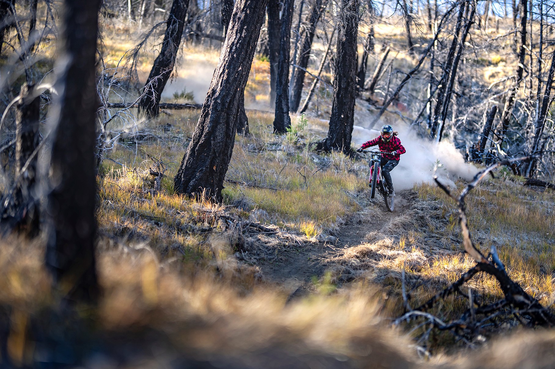 graham tearing it up