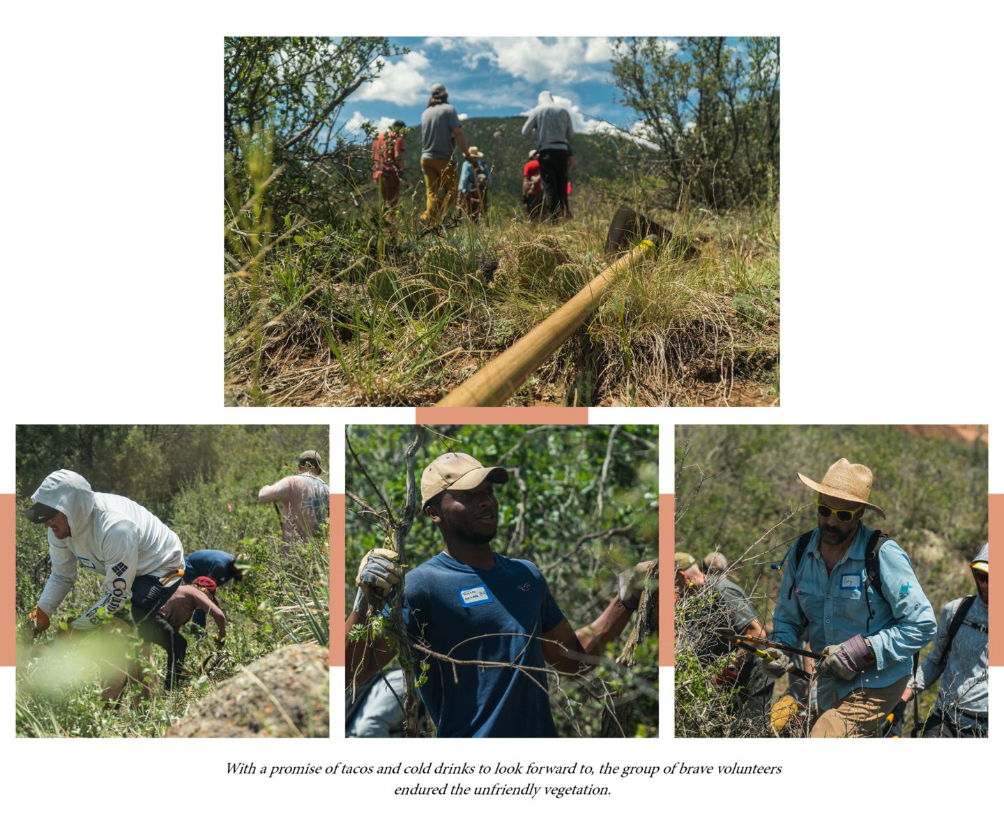 Volunteers on the trail work day near Mt. Herman.