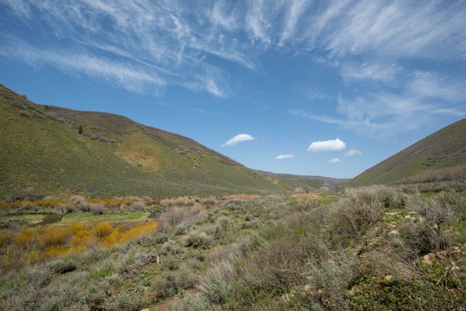 Scenery Gallery