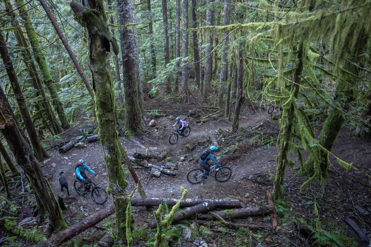Riders pedaling up a switchback, as seen from above