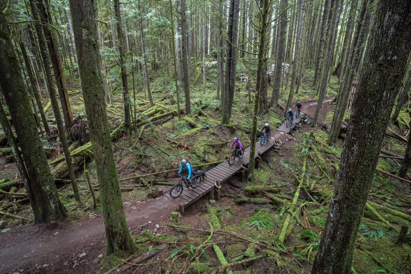 Five riders crossing a bridge in the woods