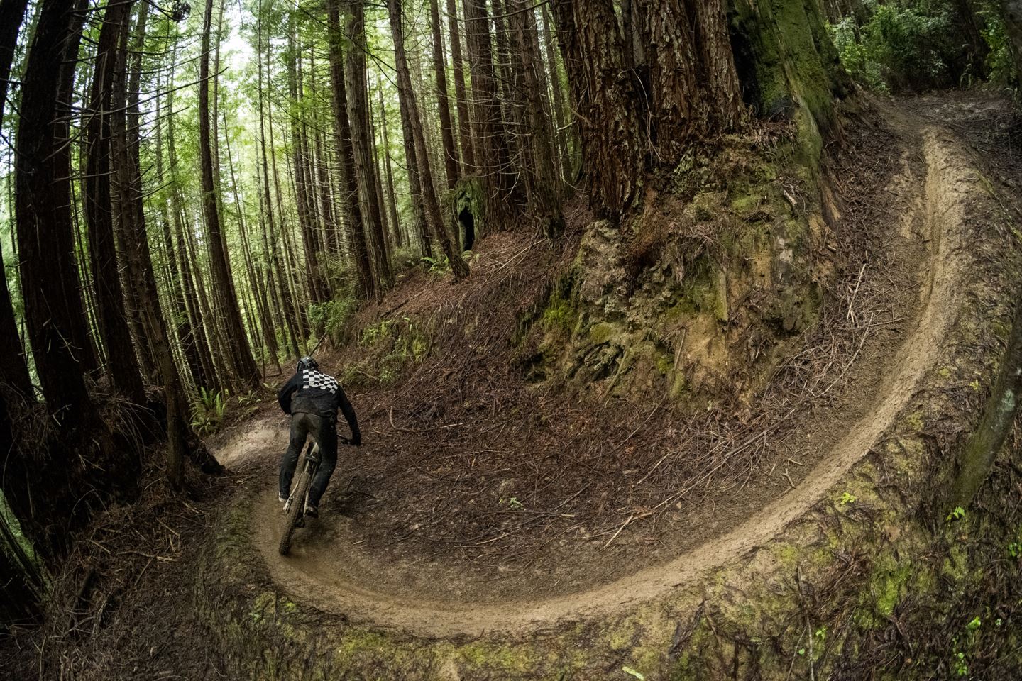 Back view of R-Dog riding a long berm.