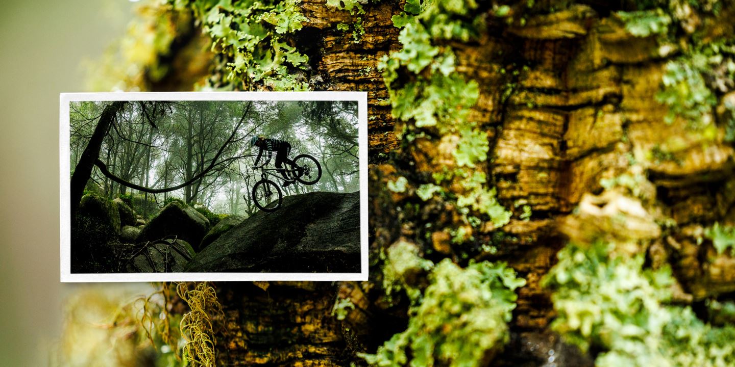 (Picture) Cécile Ravanel nose wheeling down a slab rock. (Background) Close-up photo of moss on a tree.