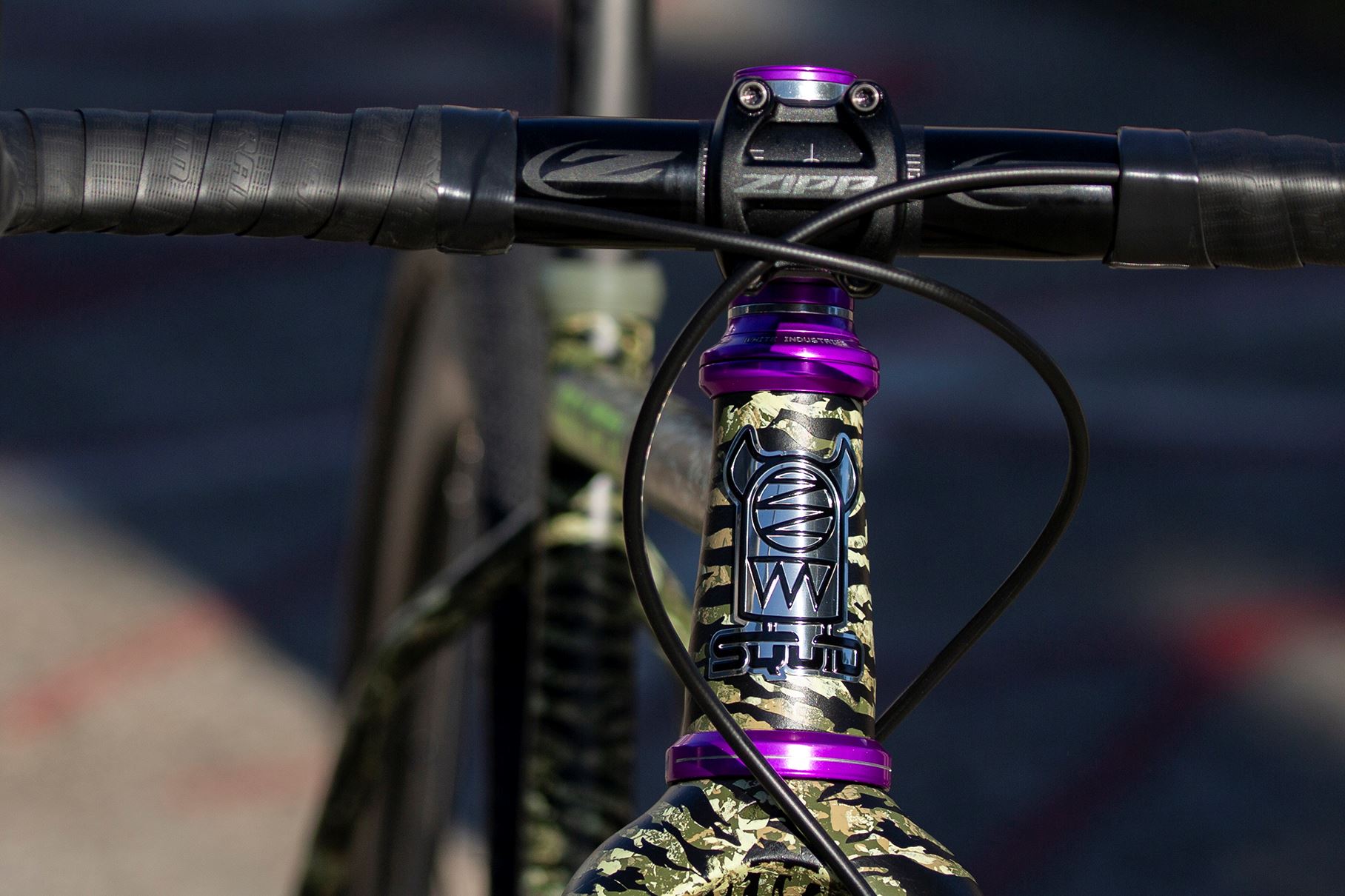 Squid Gravtron with Rival eTap AXS