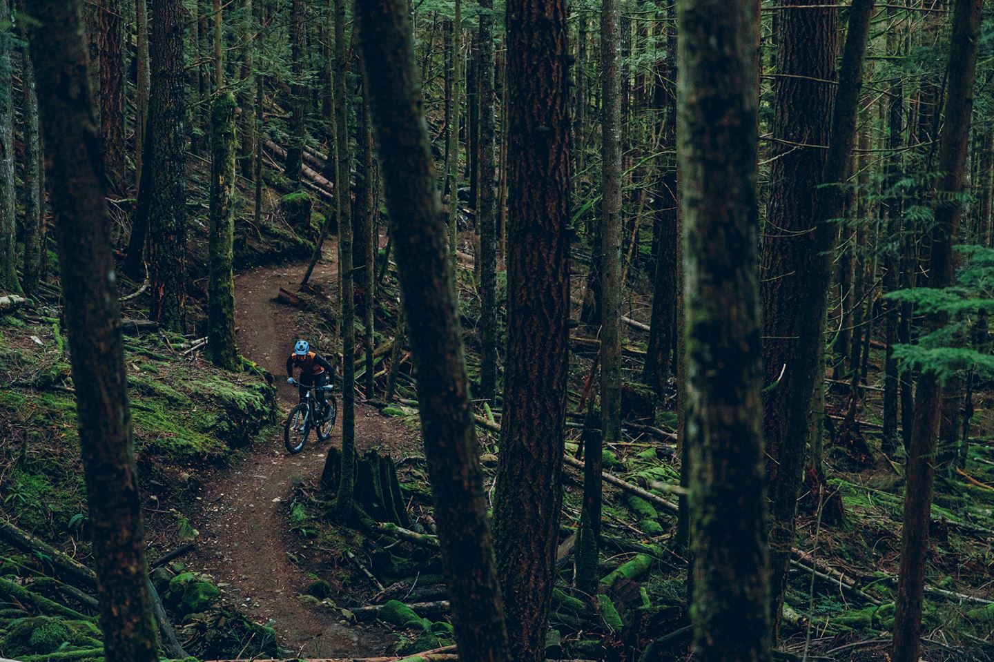 Trail Climb