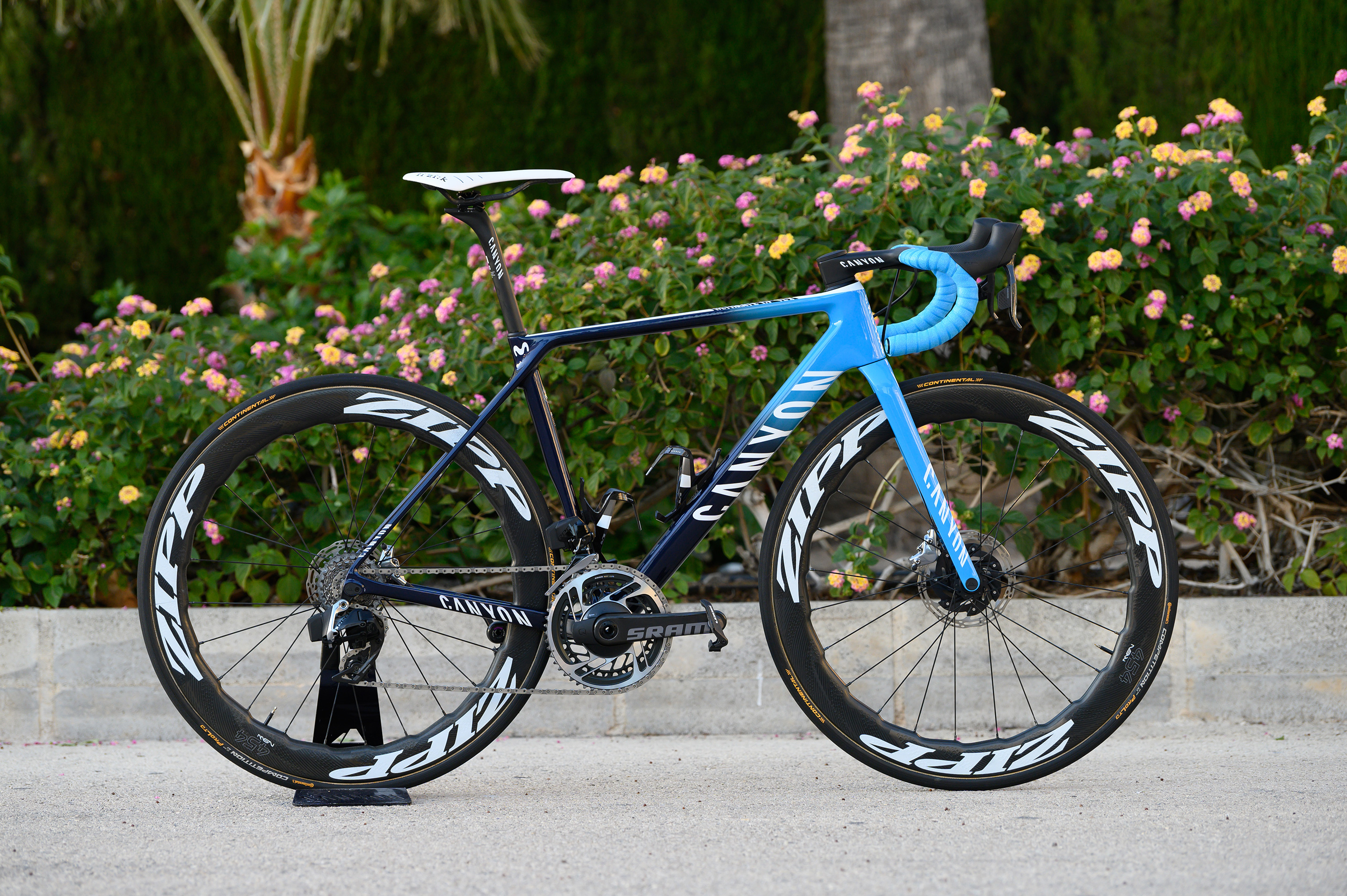 Alejandro store valverde canyon