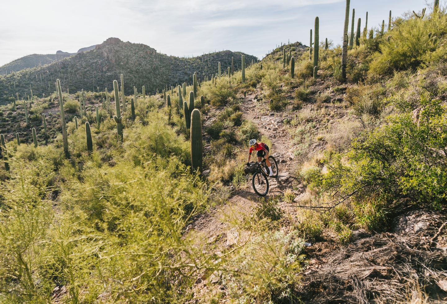 Rider climbing trail through cactus