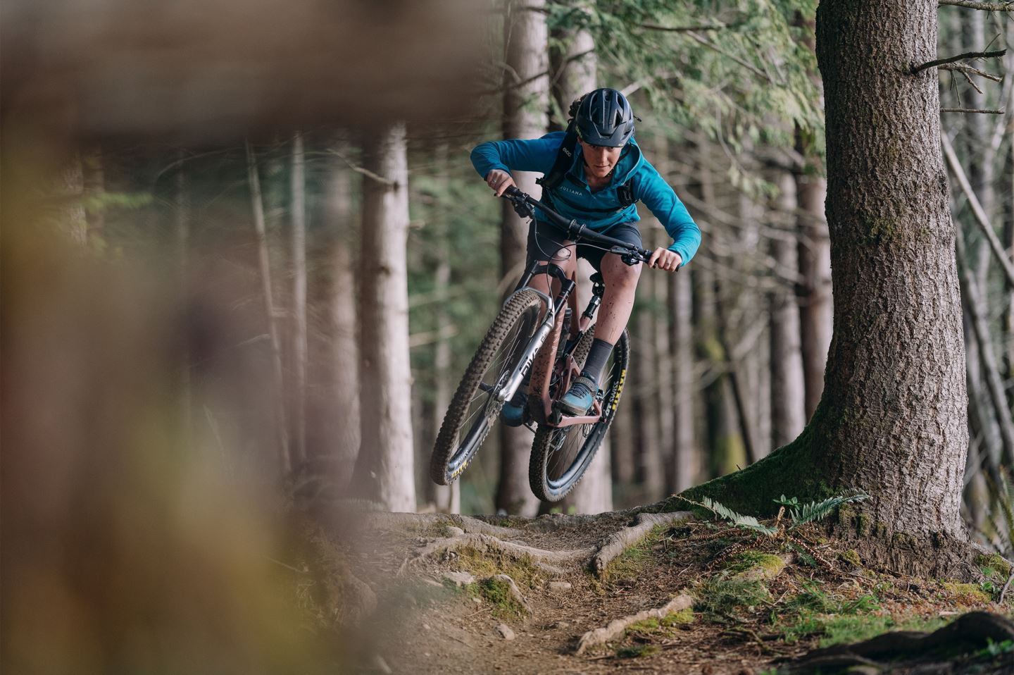 Rider in forest