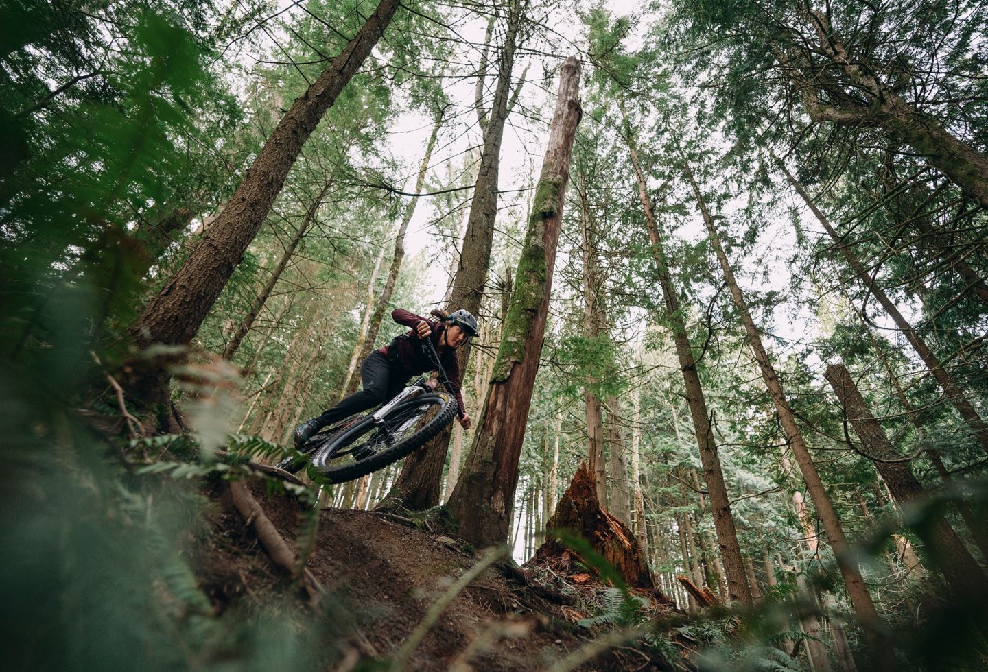 Rider in the forrest, charging down a steep, rocky descent