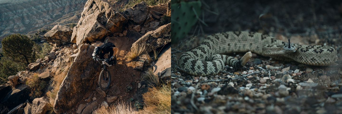 (Left) Braydon Bringhurst descending a technical part of Grafton Mesa DH. (Right) a rattlesnake with its tongue out.