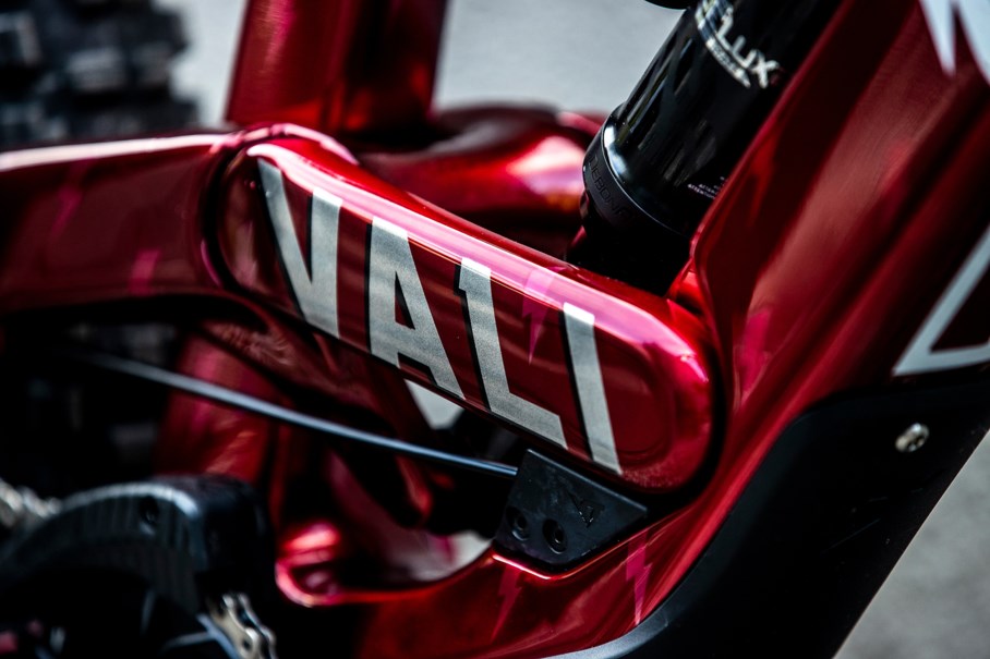 Vali Höll Gallery