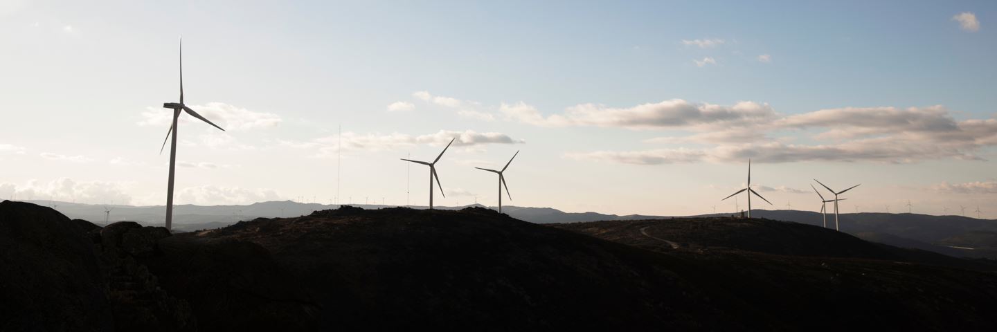 Skyline of windmills.