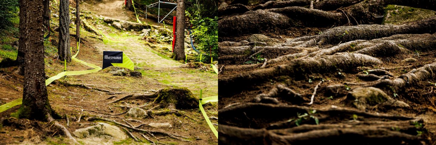 (Left) The downhill course in Val di Sole, Italy. (Right) A close-up of the anaconda roots on the DH course.
